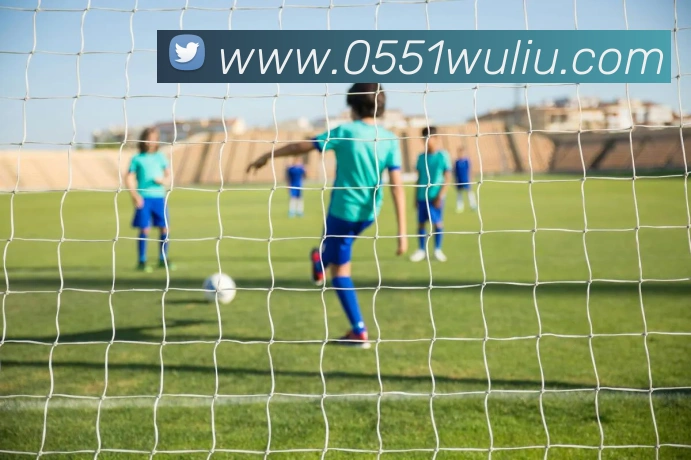 J9集团发展历程